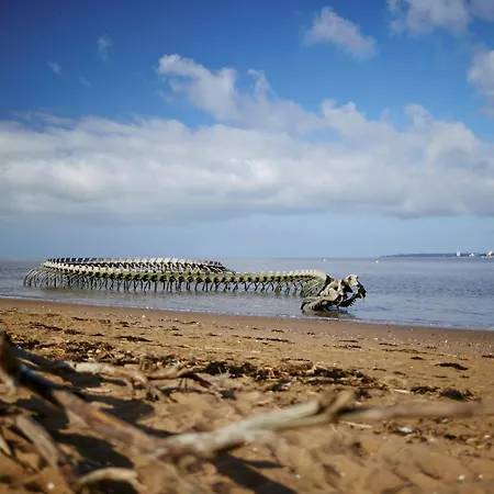 Cosy Avec Balcon A Saint-brevin, 3 Pers. - Fr-1-364-137 Apartamento *