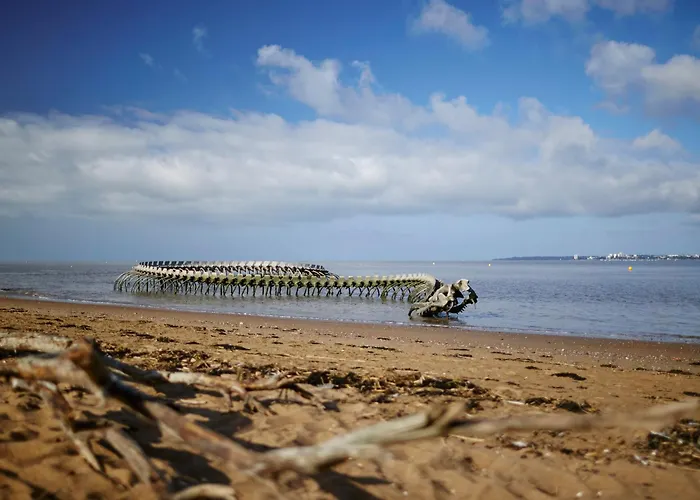 Cosy Avec Balcon A Saint-brevin, 3 Pers. - Fr-1-364-137 Apartman *